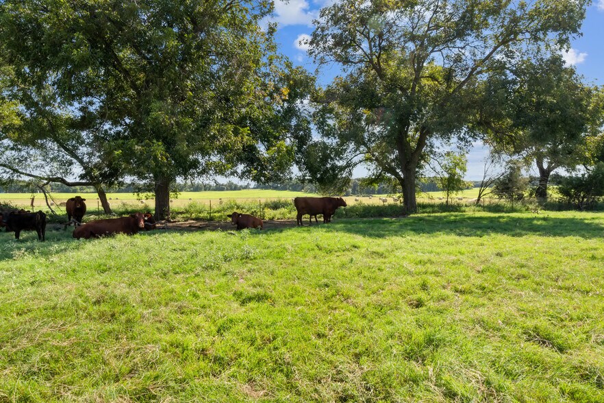 More Photos Of 324 E Highway 6, Iredell Land For Sale