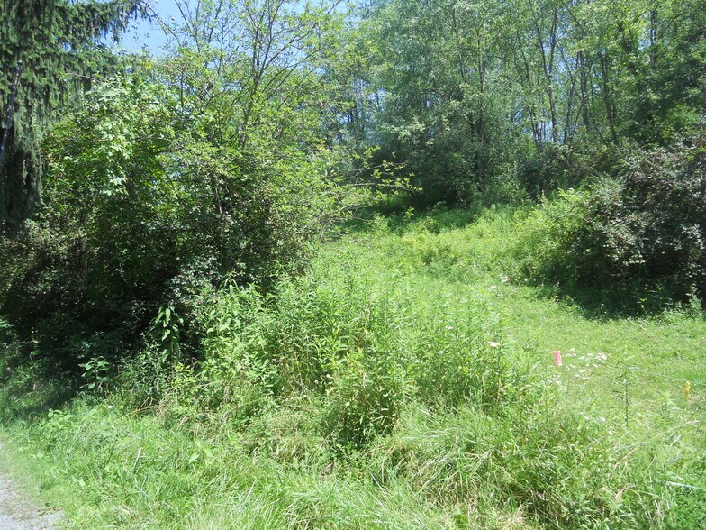 More Photos Of 595 Wades Run Rd, Morgantown Land For Sale