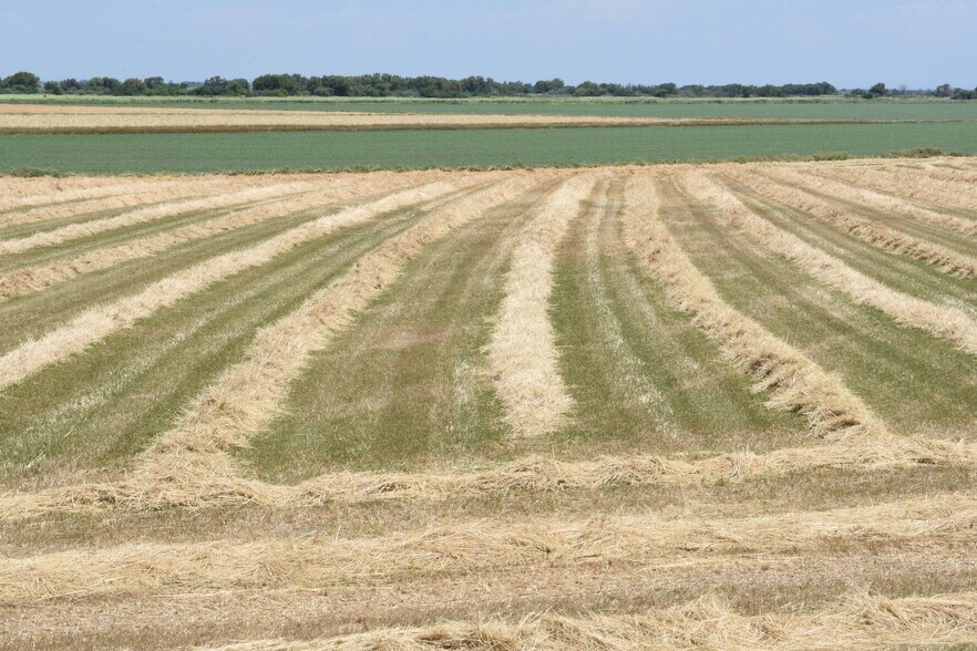 More Photos Of 16637 Tyler Island Rd, Isleton Land For Sale