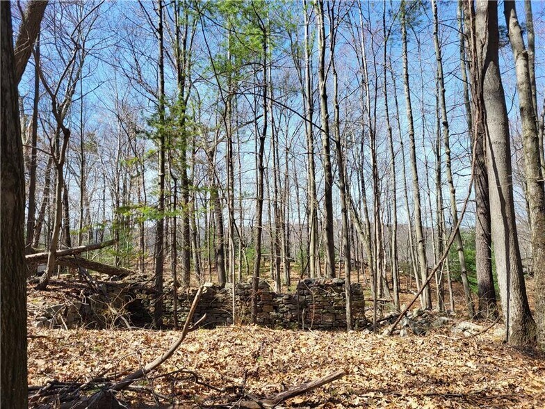 More Photos Of 8 Henry Rd, Cragsmoor Land For Sale