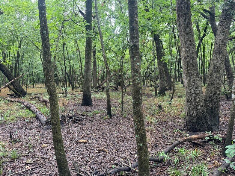 More Photos Of Highway 276, Quinlan Land For Sale