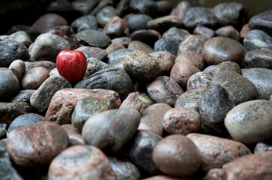 More Photos Of 428 Moxam Rd, Maynooth Land For Sale