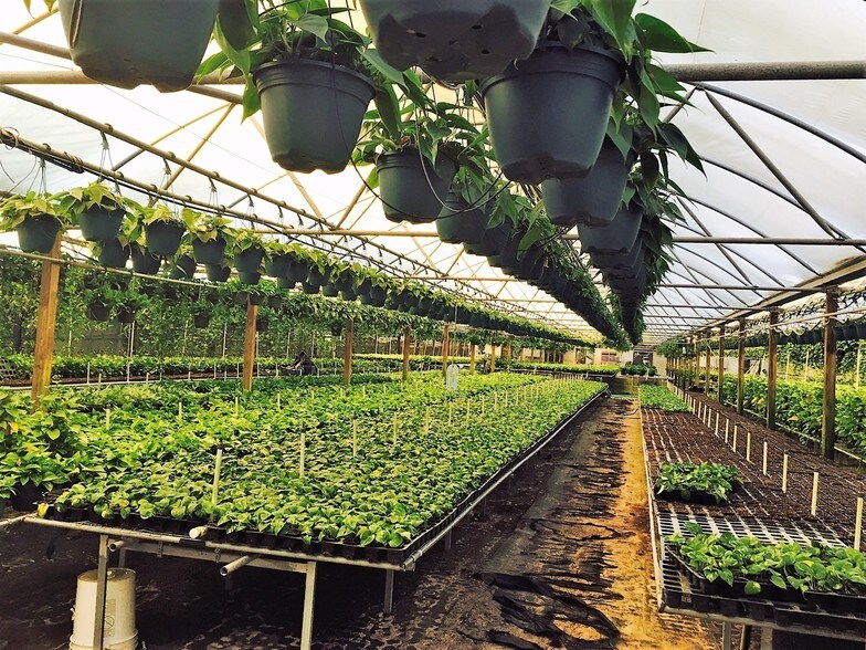 More Photos Of 34240 County Road 437, Sorrento General Retail For Sale