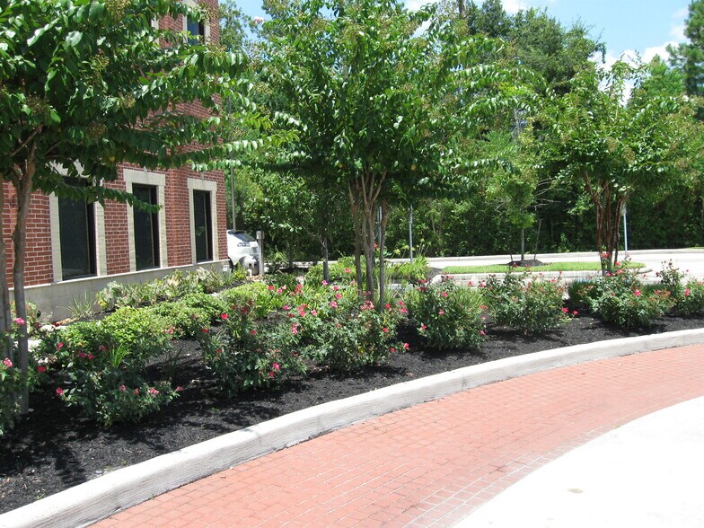 More Photos Of 19411 McKay Blvd, Humble Medical For Lease