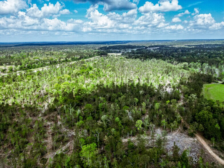 More Photos Of TBD Vick Spring Rd, New Waverly Land For Sale