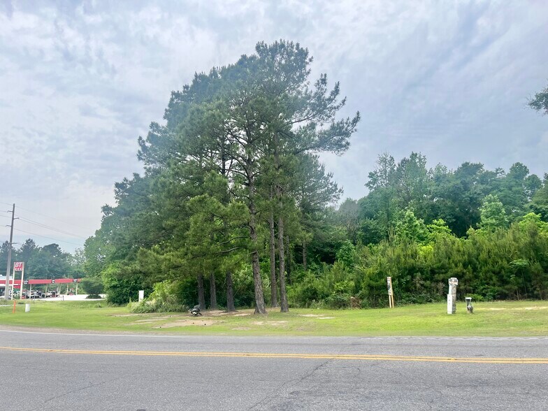 More Photos Of 23940 Co Rd 47 Rd, Perdido Land For Sale