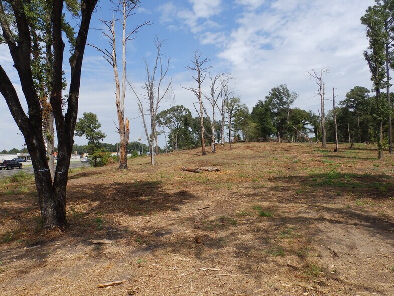 More Photos Of 16393 Highway 31, Tyler Land For Sale