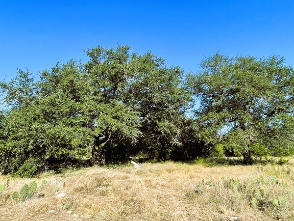 More Photos Of 4547 County Road 108, Burnet Land For Sale