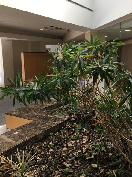 More Photos Of 901-934 Center St, Elgin Hospital For Sale