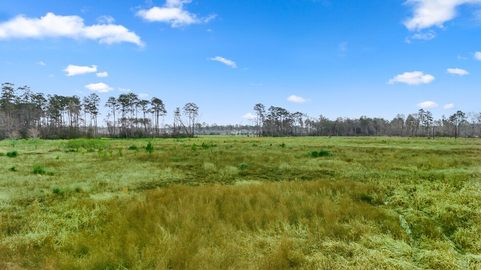 More Photos Of 17571 FM 1314 Rd, Conroe Land For Sale