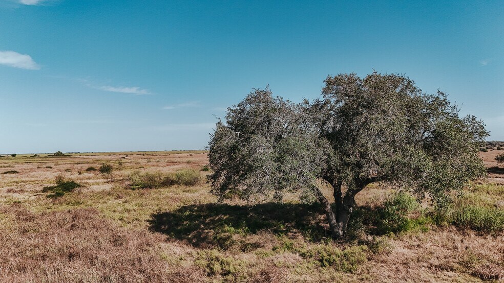 More Photos Of 5509 FM 444, Inez Land For Sale