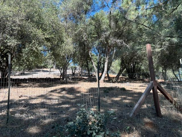 More Photos Of 20045 Jesus Maria Rd, Mokelumne Hill Land For Sale