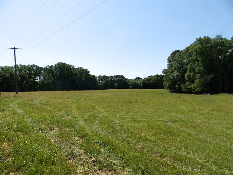 More Photos Of 3168 US Highway 175, Frankston Land For Sale