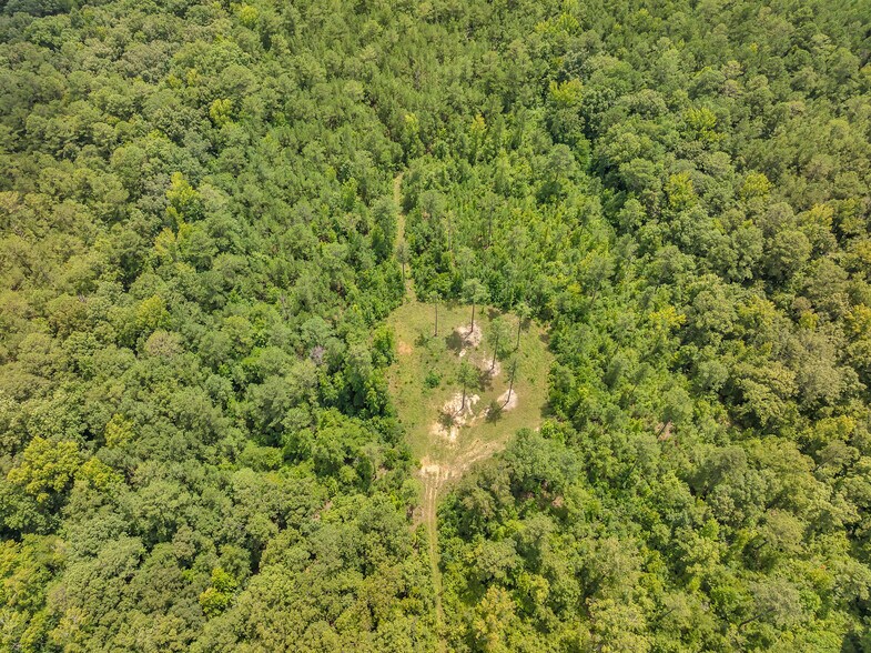 More Photos Of 7633 Thomaston Rd, Macon-Bibb Land For Sale