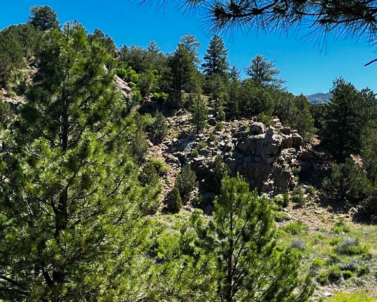 More Photos Of 525 Brush Hollow Rd, Westcliffe Land For Sale