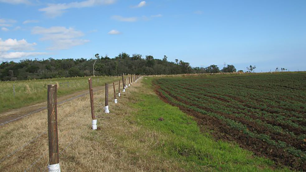 More Photos Of 27-5159 Puia Rd, Papaikou Land For Sale