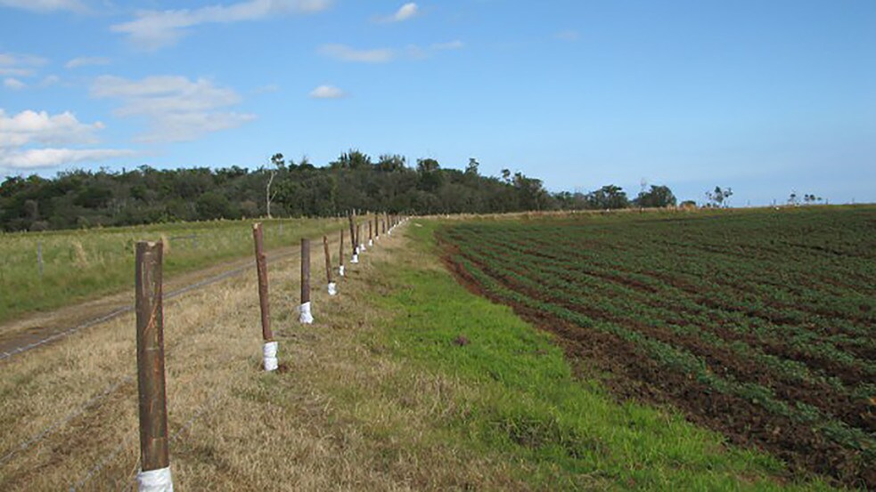 More Photos Of 27-5159 Puia Rd, Papaikou Land For Lease