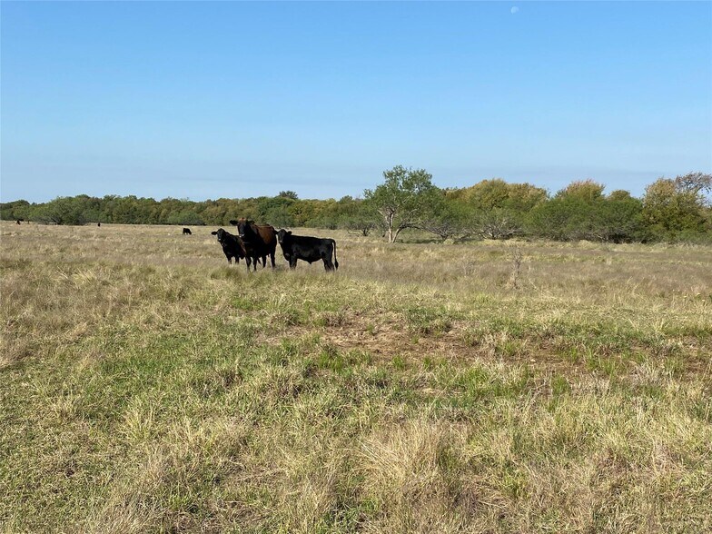 More Photos Of 0 St Hwy 198 hwy, Mabank Land For Sale