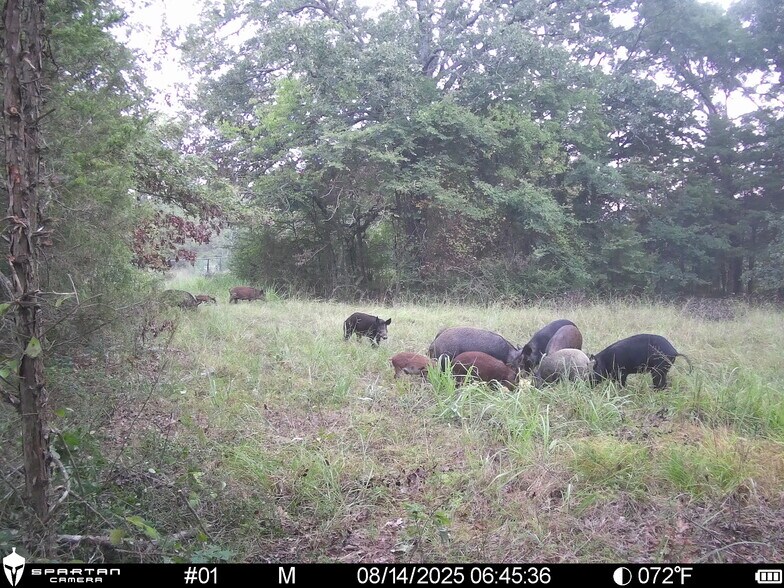 More Photos Of County Road 3311, Omaha Land For Sale