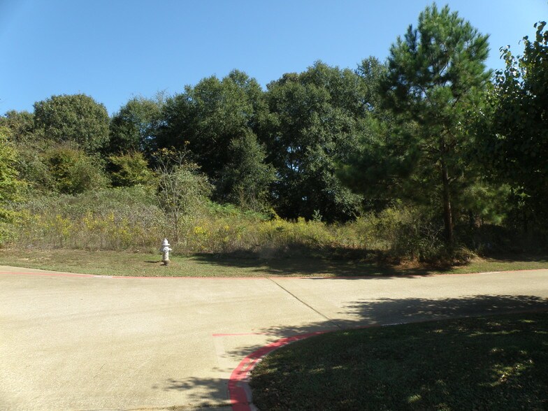 More Photos Of 3315 S Loop 256, Palestine Land For Sale