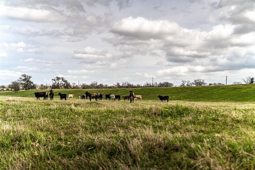 More Photos Of 121 Mechelle st, Smithville Land For Sale