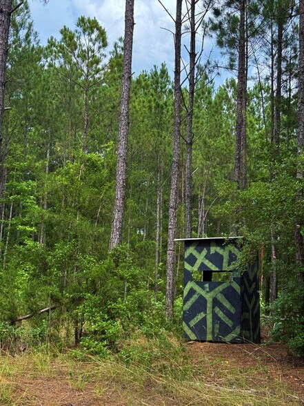 More Photos Of 00 Kennedy Rd, Winnsboro Land For Sale