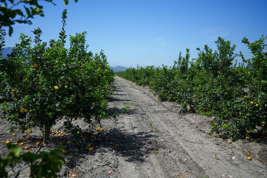 More Photos Of 2417 S Mountain Rd, Fillmore Land For Sale