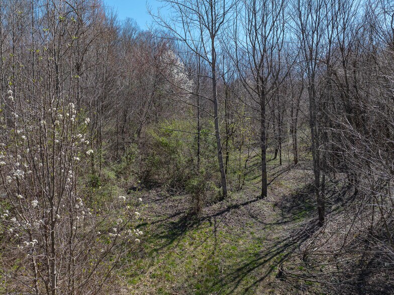 More Photos Of 00 Woodland Dr, Waynesville Land For Sale
