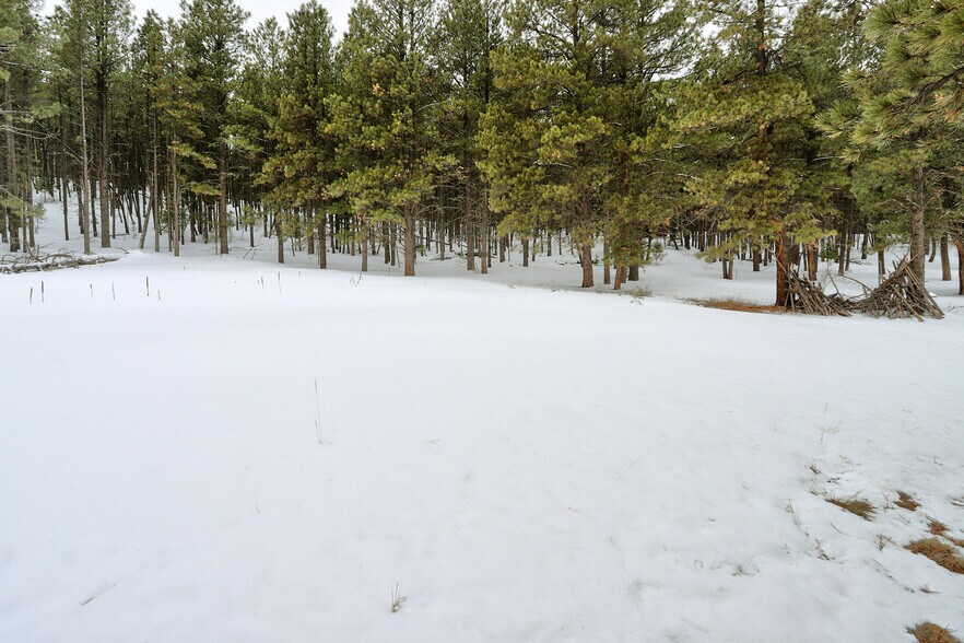 More Photos Of Lot 21A Golf View Terrace, Angel Fire Land For Sale