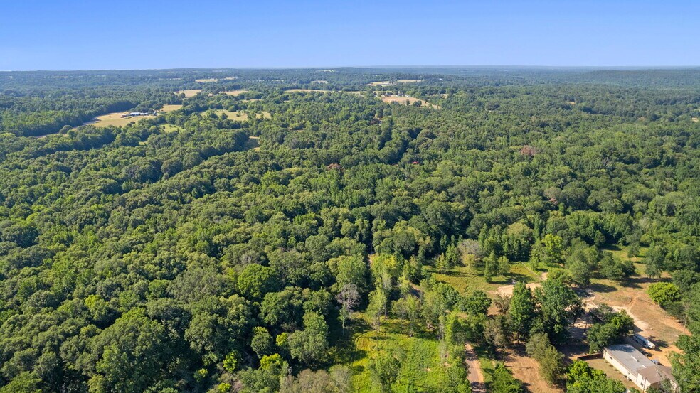 More Photos Of CR 496, Lindale Land For Sale