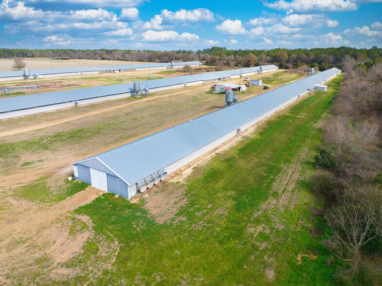 More Photos Of 441 Weaver Rd, Moultrie Land For Sale