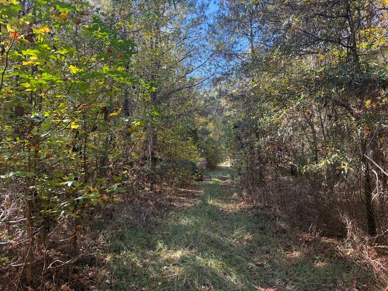 More Photos Of 793 Puncheon Creek Dr, Andrews Land For Sale