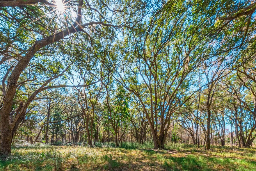 More Photos Of 0 King Rail Lane, Edisto Island Land For Sale