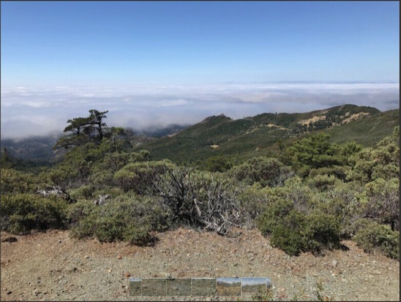 More Photos Of 0 Pine Flat Rd, Healdsburg Land For Sale