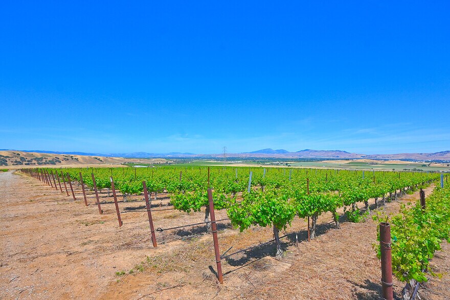 More Photos Of 5625 Greenville Road, Livermore Land For Sale