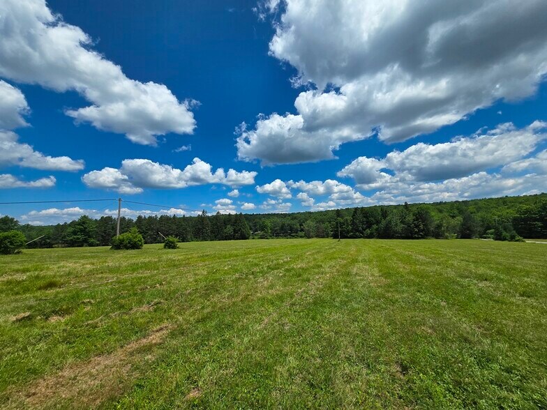 More Photos Of 40 Sparten Hill Rd, Livingston Manor Specialty For Sale