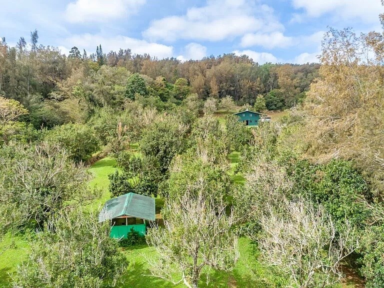 More Photos Of 47-4630 Mauka Cane Haul Rd, Honokaa Land For Sale