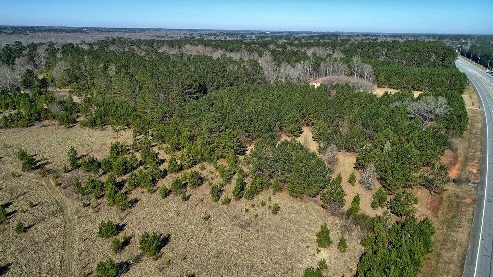 More Photos Of Lot 7 Hwy 74 S, Senoia Land For Sale
