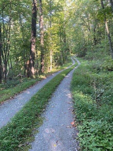 More Photos Of 152 Lily Lake Rd, Highland Land For Sale