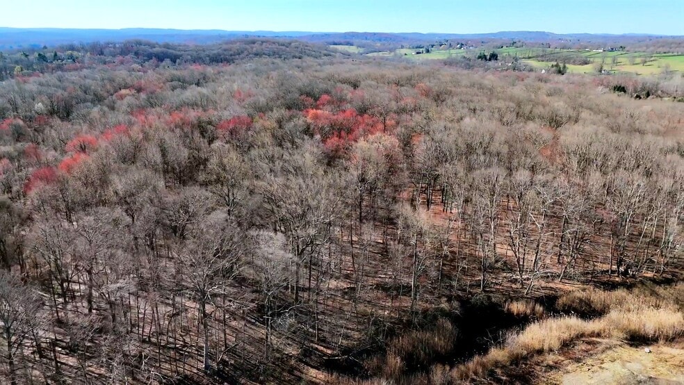Primary Photo Of 228 Mahopac Ave, Yorktown Heights Land For Sale