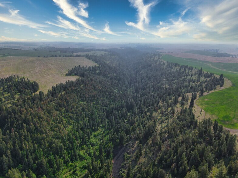 More Photos Of 45XXX Devore Rd, Davenport Land For Sale