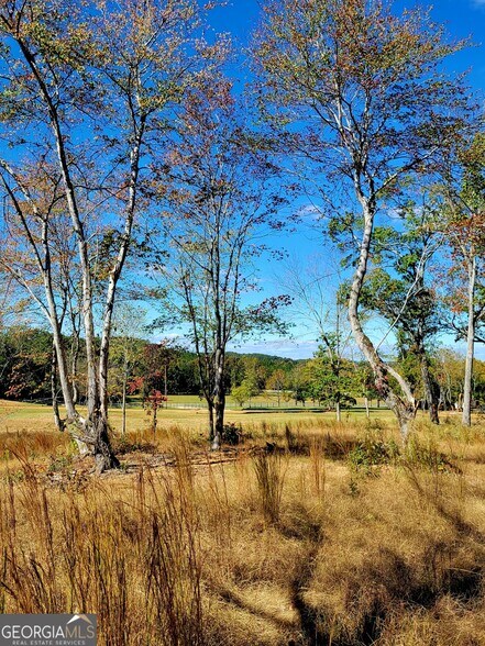 More Photos Of 80 Mundy Rd, Rydal Land For Sale