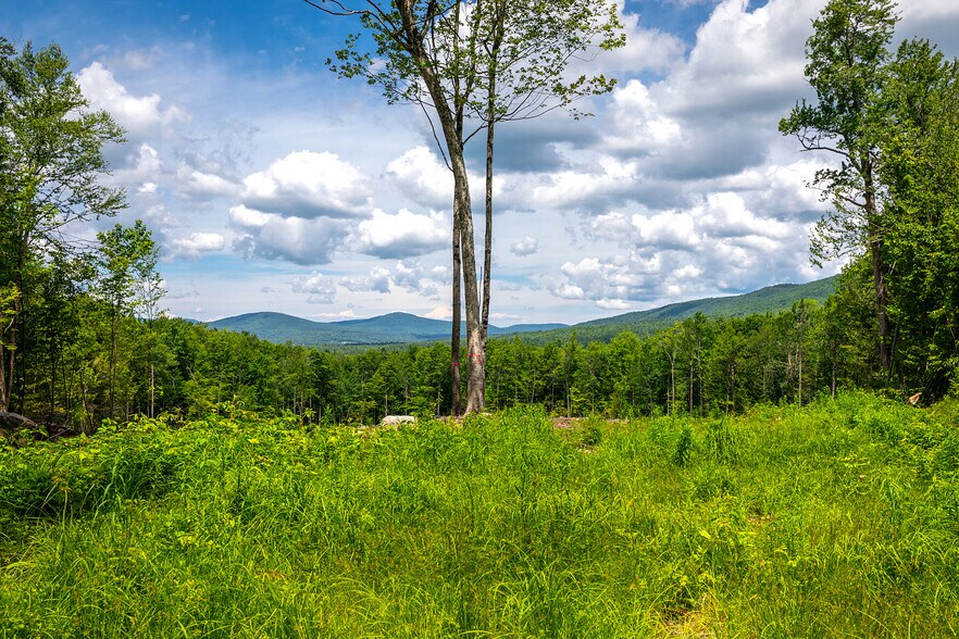Primary Photo Of 0 Little Pond Road, Andover Land For Sale
