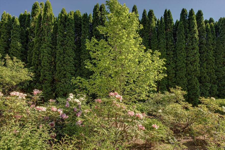 More Photos Of 1646 Road 20 NW, Soap Lake Land For Sale