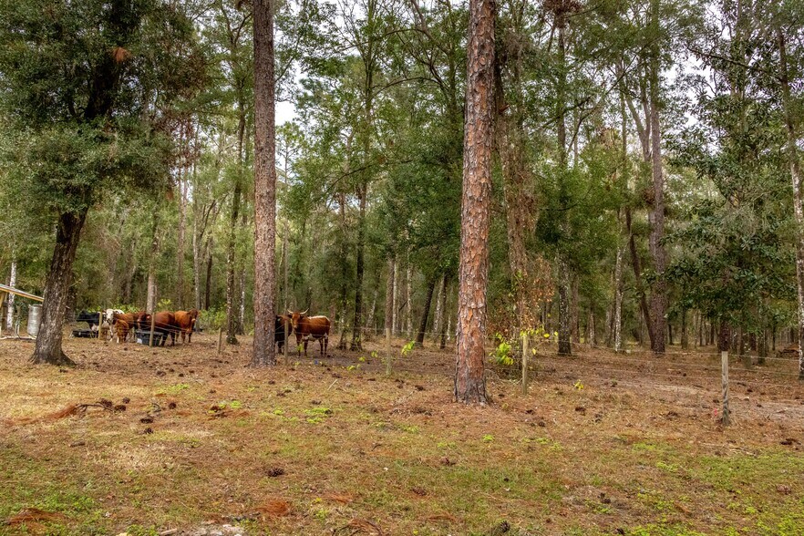 More Photos Of 24091 Richbarn Rd, Brooksville Land For Sale