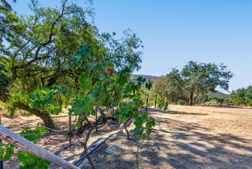 More Photos Of 21041 Black Canyon Rd, Ramona Land For Sale