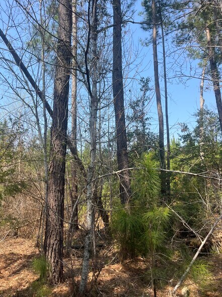 More Photos Of Healing Acres Ln, Carthage Land For Sale