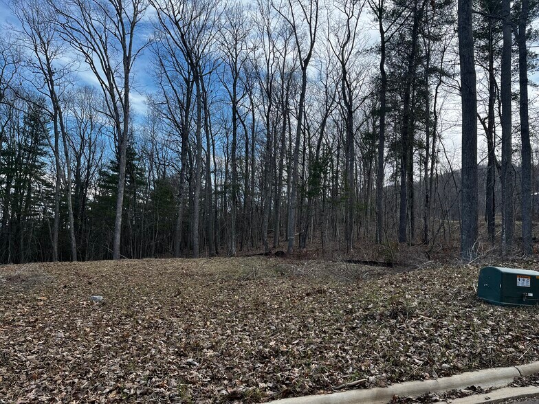 More Photos Of 105 Woodland Meadows Dr, Asheville Land For Sale