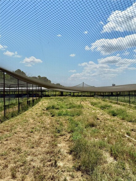 More Photos Of 1500 Lumkins rd, Forreston Land For Sale