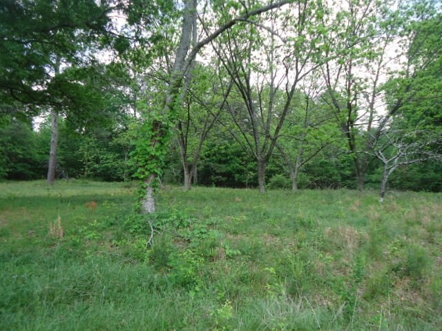 More Photos Of 1006 Willowdale Rd, Dalton Land For Sale